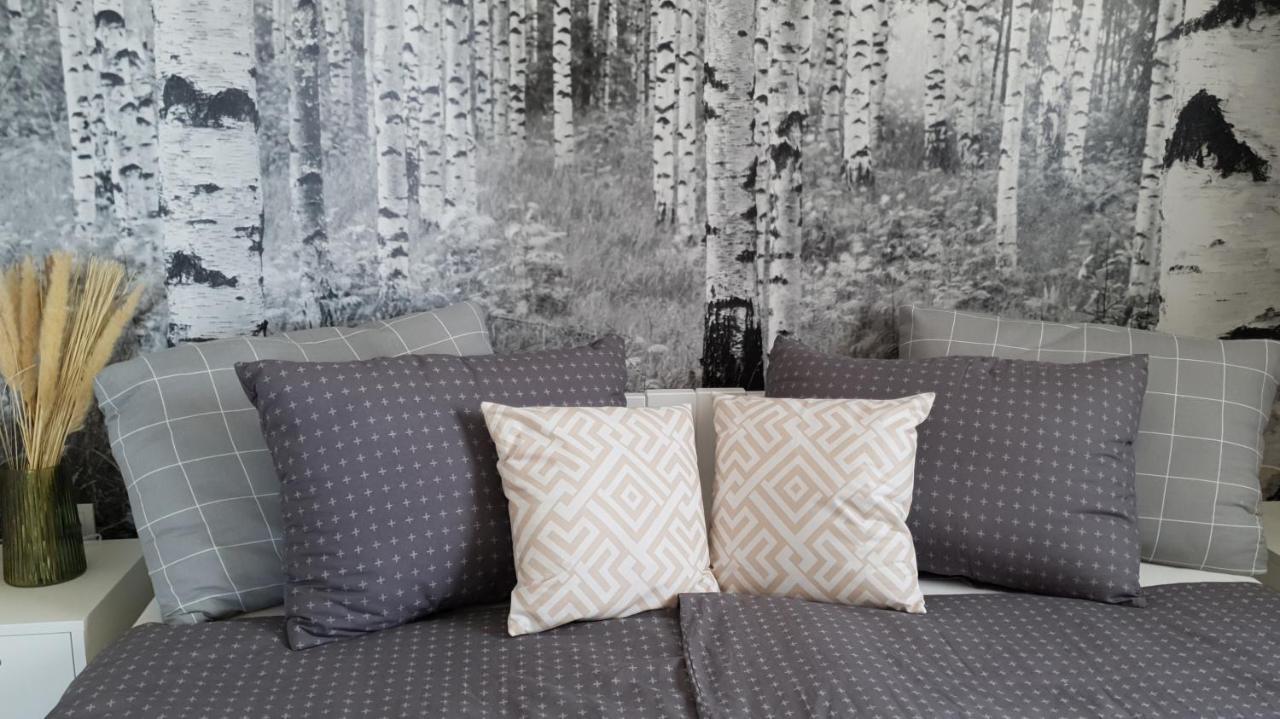 Apartmani Masline ヤセニクセ エクステリア 写真