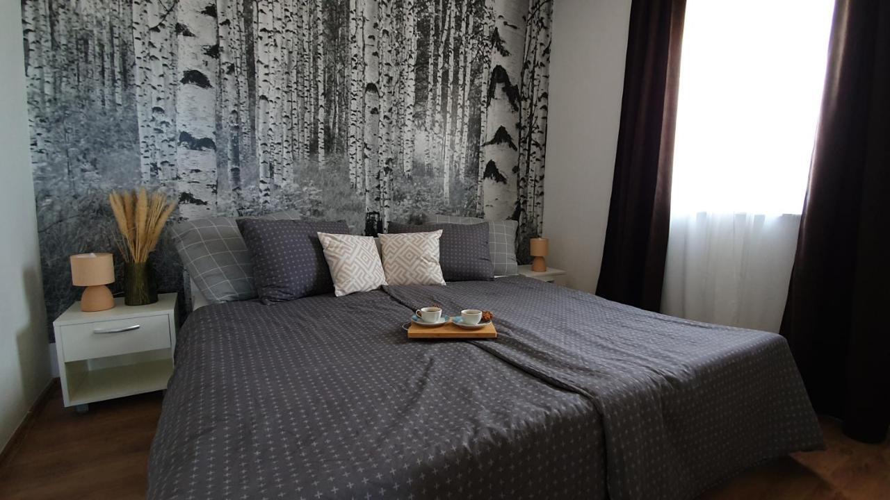 Apartmani Masline ヤセニクセ エクステリア 写真